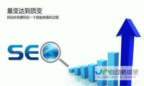 武汉SEO公司：助力您的网站提升排名，获得更多客户