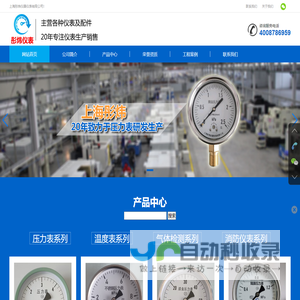 压力表|不锈钢压力表|膜盒压力表|法兰压力表-上海彤炜仪器仪表有限公司